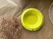 Serving Plate Coral 450 ml Freedom Yellow