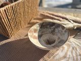 Тарелка Обеденная 550 мл Milk Stone 00492 фото