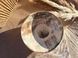Тарілка Обідня 550 мл Milk Stone 00492 фото 4
