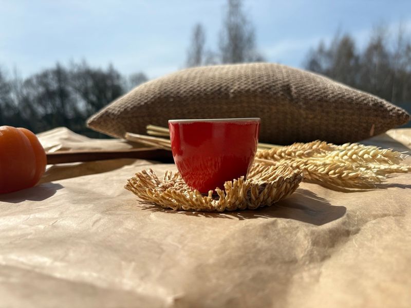 Чашка Espresso 80 мл Red 03329 фото