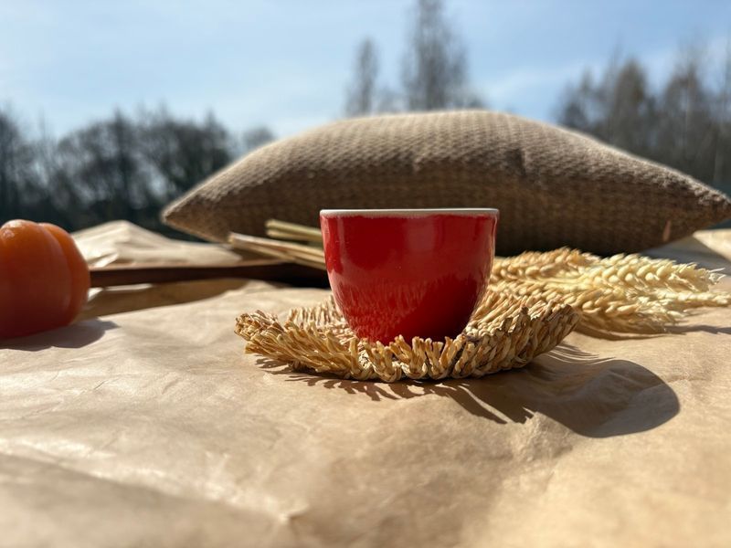 Чашка Espresso 80 мл Red 03329 фото